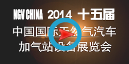 NGV China 2014第十五届展览会开幕式